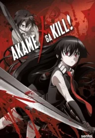 akame-ga-kill