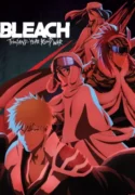 bleach